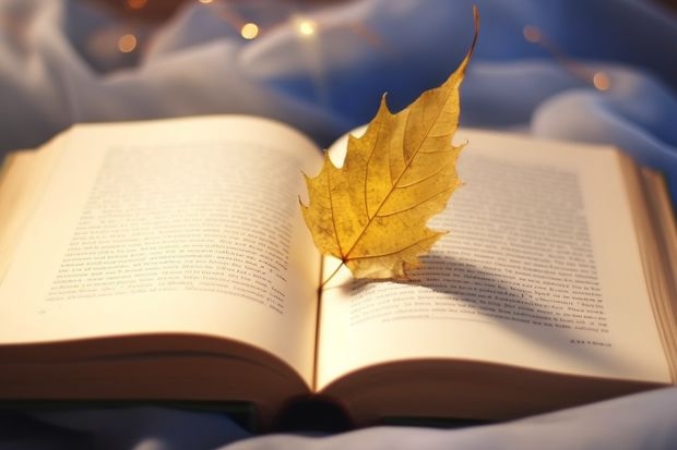 2025高考满洲里俄语职业学院在安徽招生批次 有哪些专业？（2026参考）