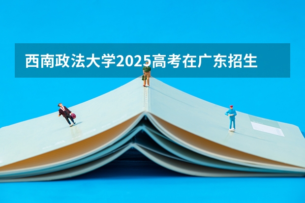西南政法大学2025高考在广东招生计划介绍