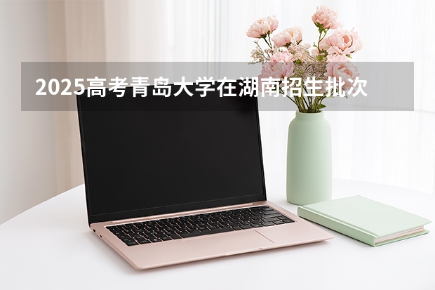 2025高考青岛大学在湖南招生批次 有哪些专业？