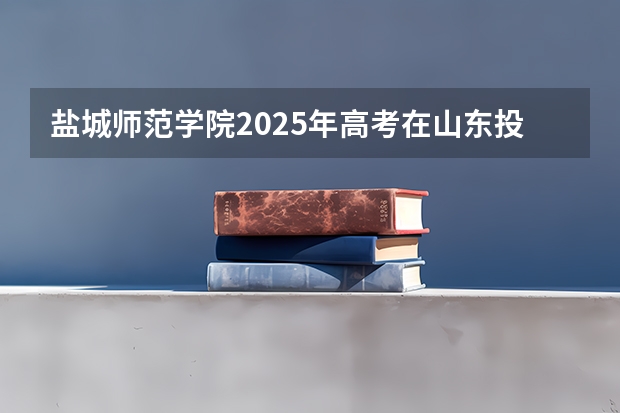 盐城师范学院2025年高考在山东投档分数线