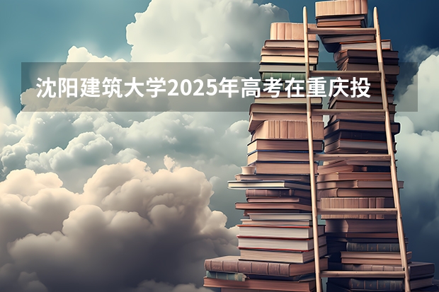沈阳建筑大学2025年高考在重庆投档分数线