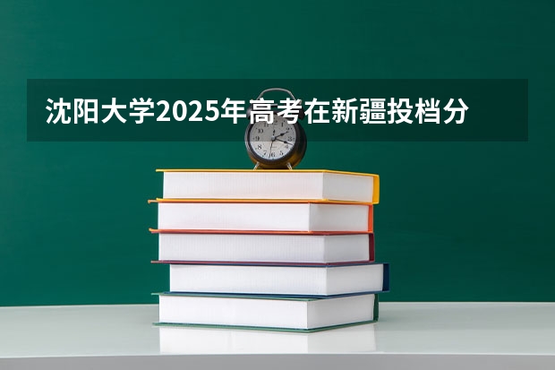 沈阳大学2025年高考在新疆投档分数线