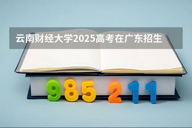 云南财经大学2025高考在广东招生计划介绍