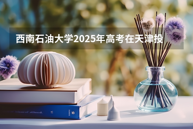 西南石油大学2025年高考在天津投档分数线