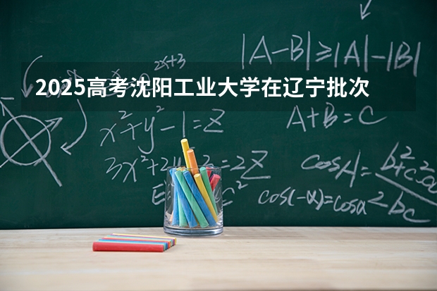2025高考沈阳工业大学在辽宁批次线差是多少（2026参考）
