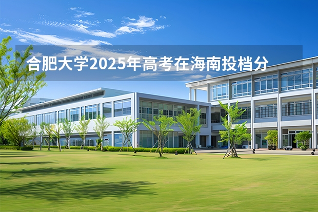 合肥大学2025年高考在海南投档分数线