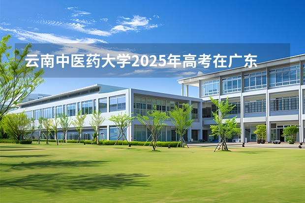 云南中医药大学2025年高考在广东投档分数线