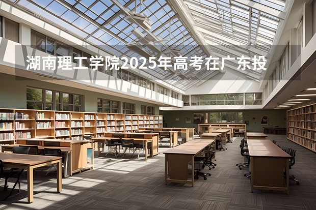 湖南理工学院2025年高考在广东投档分数线