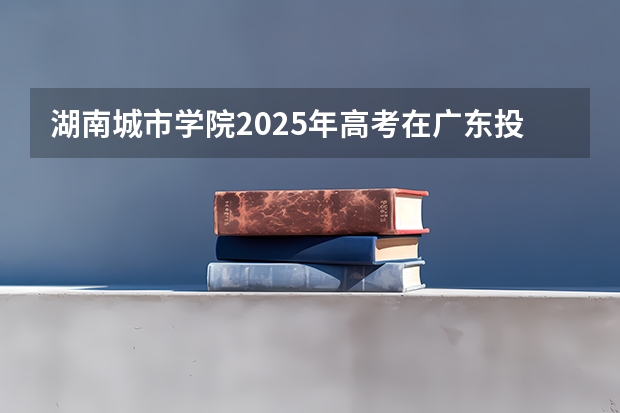 湖南城市学院2025年高考在广东投档分数线