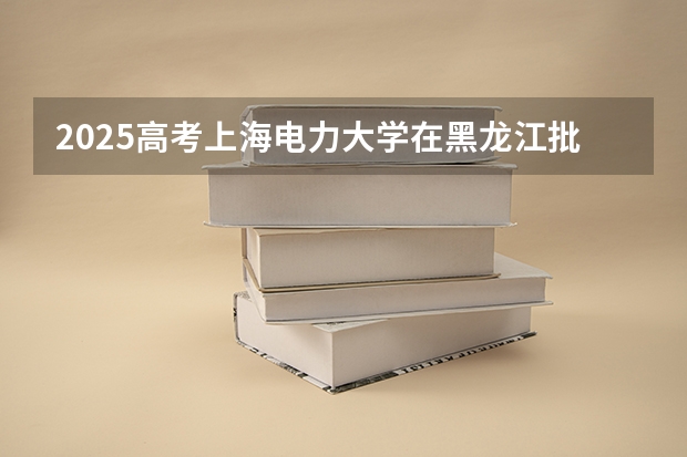 2025高考上海电力大学在黑龙江批次线差是多少（2026参考）