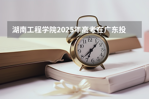 湖南工程学院2025年高考在广东投档分数线
