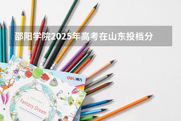 邵阳学院2025年高考在山东投档分数线