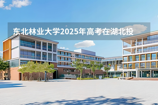 东北林业大学2025年高考在湖北投档分数线