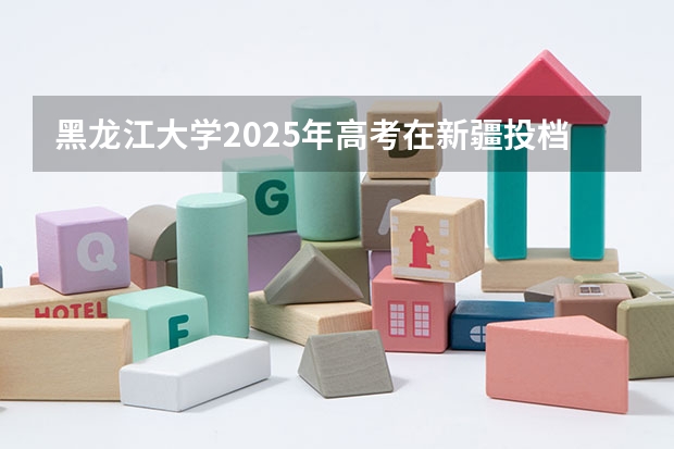 黑龙江大学2025年高考在新疆投档分数线