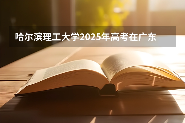 哈尔滨理工大学2025年高考在广东投档分数线