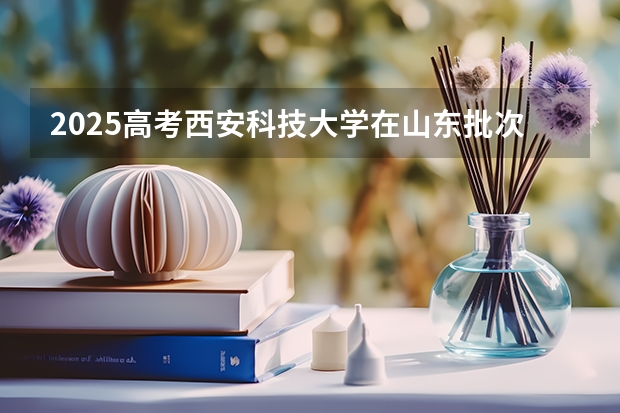 2025高考西安科技大学在山东批次线差是多少（2026参考）