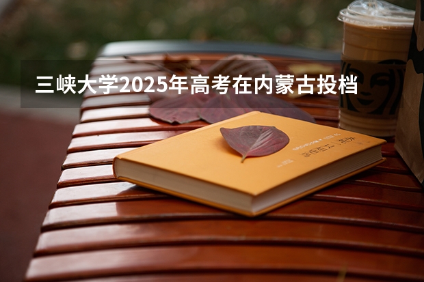 三峡大学2025年高考在内蒙古投档分数线