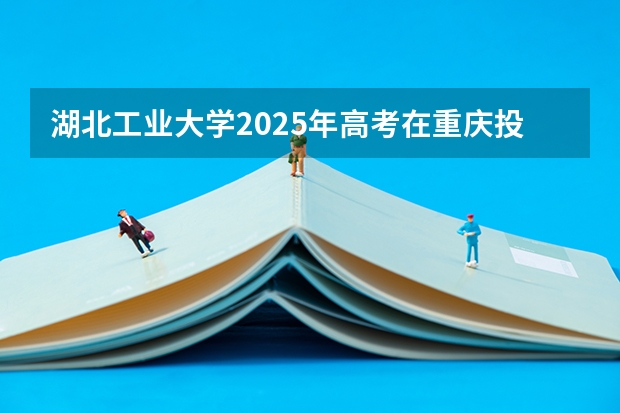 湖北工业大学2025年高考在重庆投档分数线
