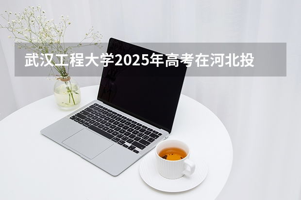 武汉工程大学2025年高考在河北投档分数线