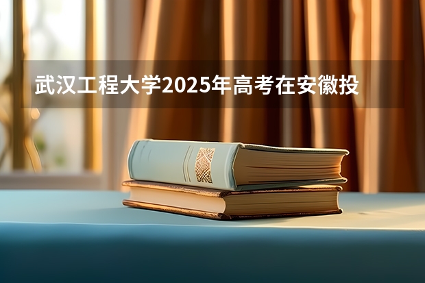 武汉工程大学2025年高考在安徽投档分数线
