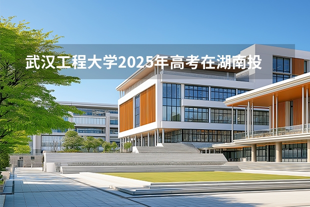 武汉工程大学2025年高考在湖南投档分数线
