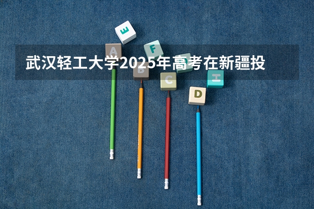 武汉轻工大学2025年高考在新疆投档分数线