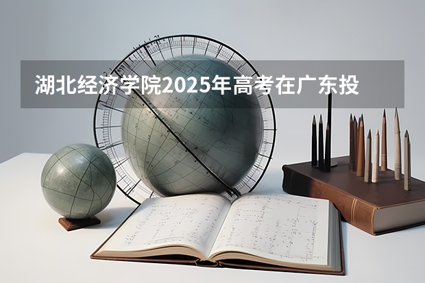 湖北经济学院2025年高考在广东投档分数线
