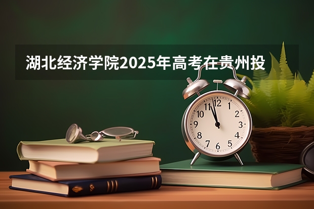 湖北经济学院2025年高考在贵州投档分数线