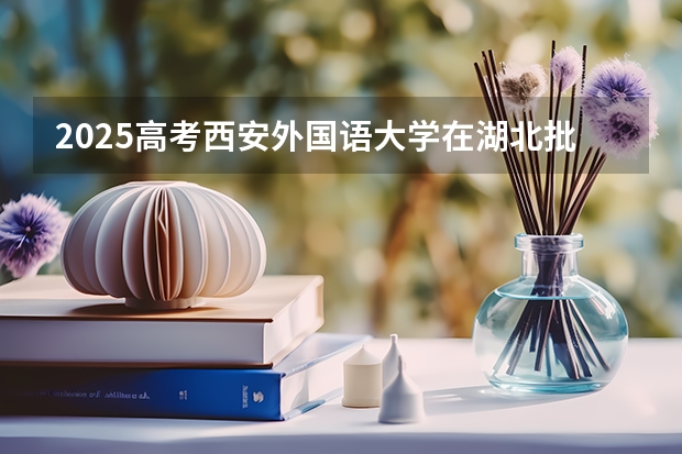 2025高考西安外国语大学在湖北批次线差是多少（2026参考）