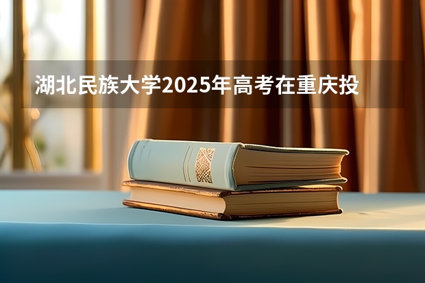 湖北民族大学2025年高考在重庆投档分数线