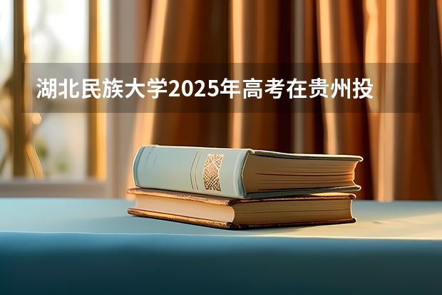 湖北民族大学2025年高考在贵州投档分数线