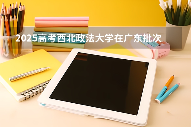 2025高考西北政法大学在广东批次线差是多少（2026参考）