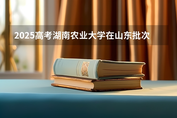 2025高考湖南农业大学在山东批次线差是多少（2026参考）