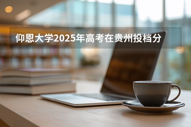 仰恩大学2025年高考在贵州投档分数线