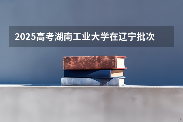 2025高考湖南工业大学在辽宁批次线差是多少（2026参考）