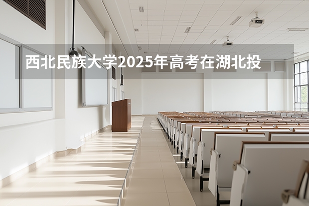 西北民族大学2025年高考在湖北投档分数线