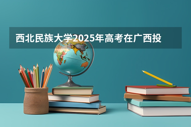 西北民族大学2025年高考在广西投档分数线