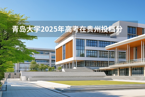 青岛大学2025年高考在贵州投档分数线