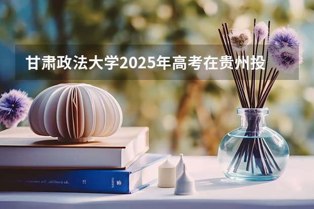 甘肃政法大学2025年高考在贵州投档分数线