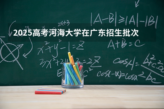 2025高考河海大学在广东招生批次 有哪些专业？（2026参考）