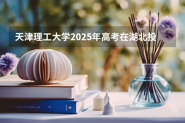 天津理工大学2025年高考在湖北投档分数线