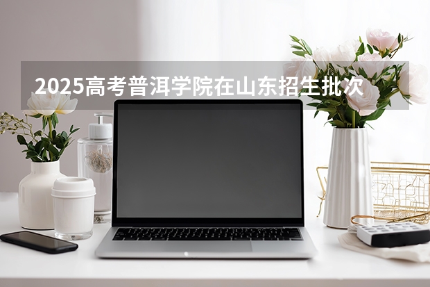 2025高考普洱学院在山东招生批次 有哪些专业？（2026参考）