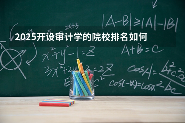2025开设审计学的院校排名如何 重点院校介绍（2026参考）